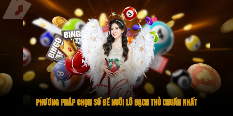 Phương pháp chọn số để nuôi lô bạch thủ chuẩn nhất