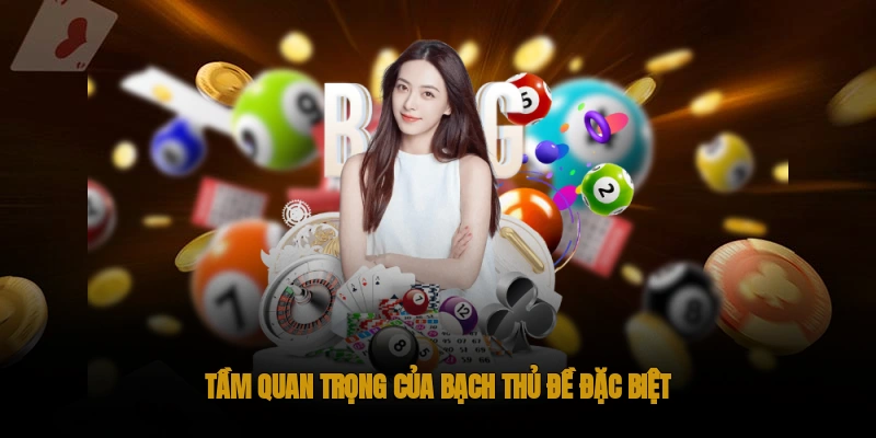 Tầm quan trọng của bạch thủ đề đặc biệt